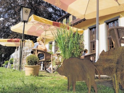 照片: Warsteiner Waldwirtschaft im Bilsteintal